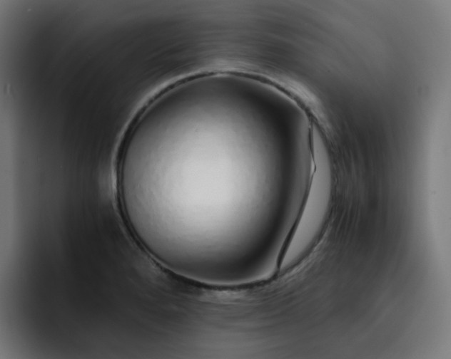 X0000093151280200710101129