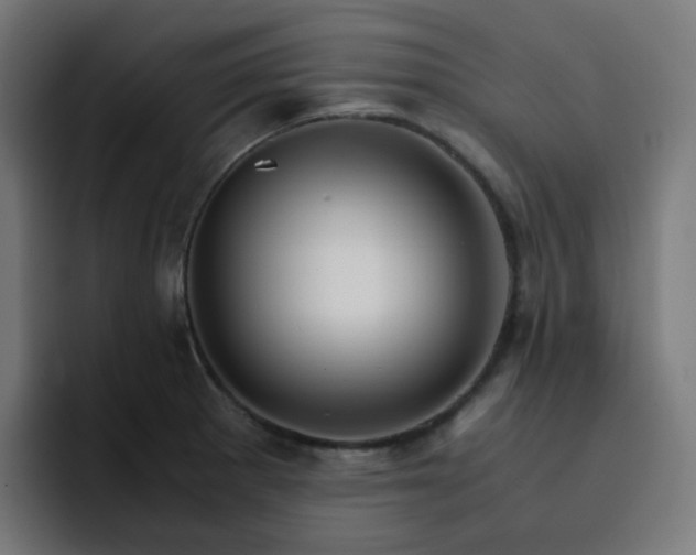X0000093151281200710101129