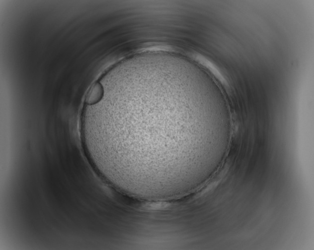 X0000093151282200710101129