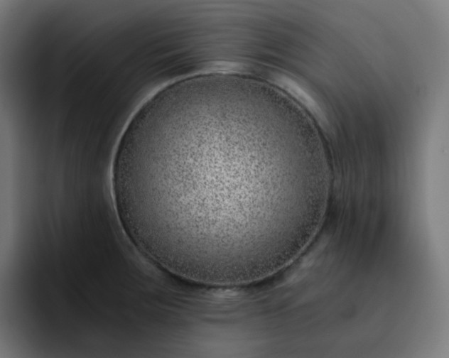 X0000093151283200710101129