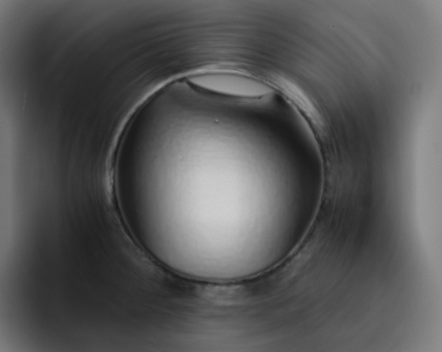 X0000093151284200710101129