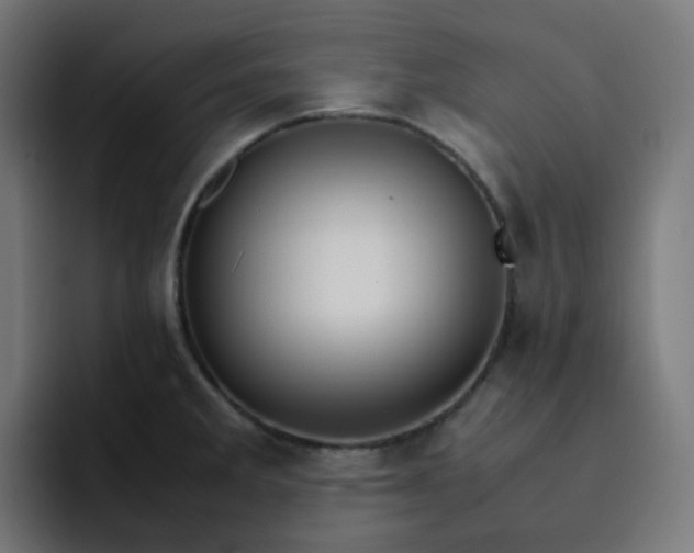 X0000093151285200710101129