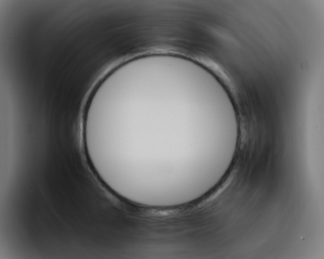 X0000093151286200710101129