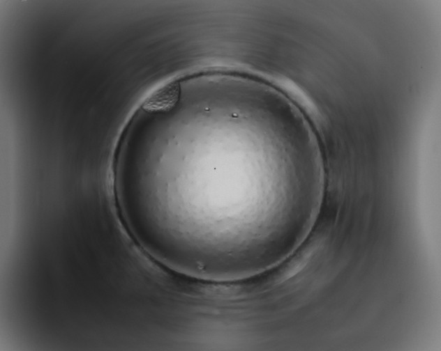 X0000093151287200710101129