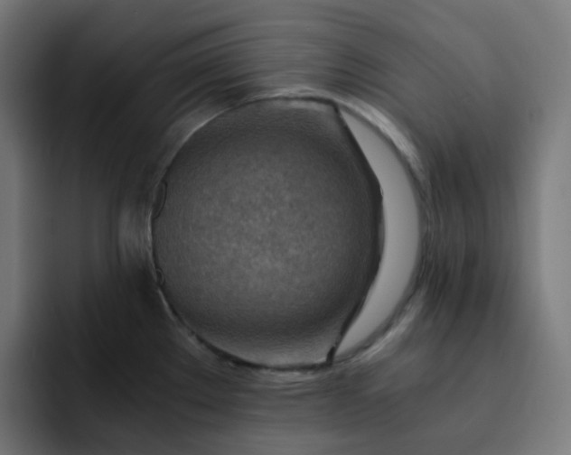X0000093151289200710101129