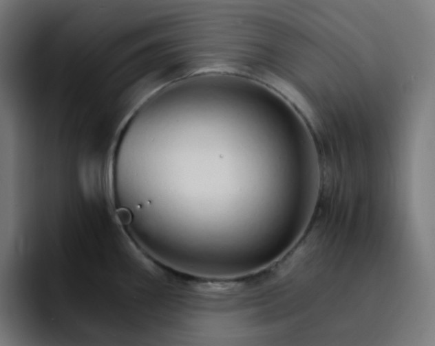 X0000093151290200710101129