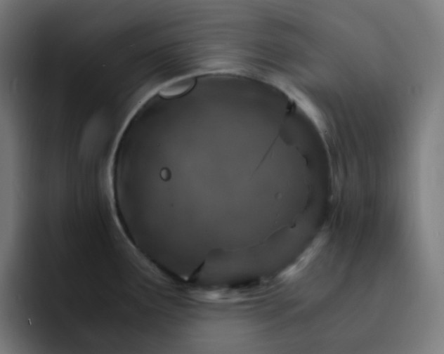 X0000093151291200710101129