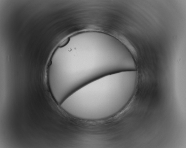 X0000093151292200710101129
