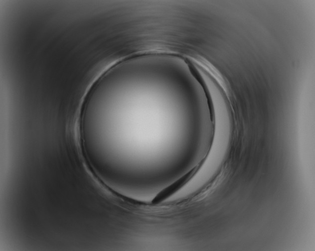 X0000093151293200710101129