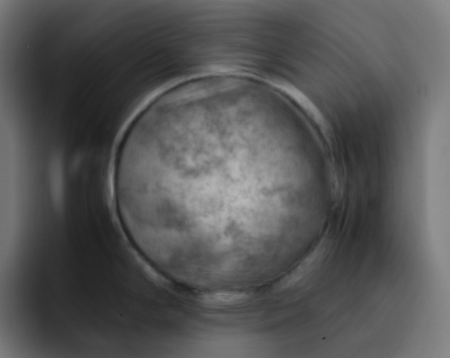 X0000093151294200710101129