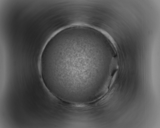 X0000093151295200710101128
