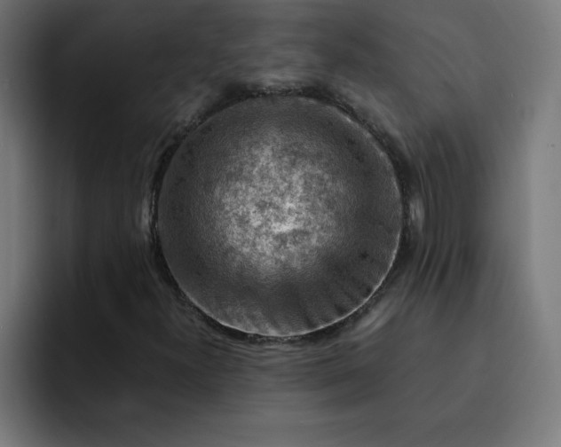 X0000093151300200710101128
