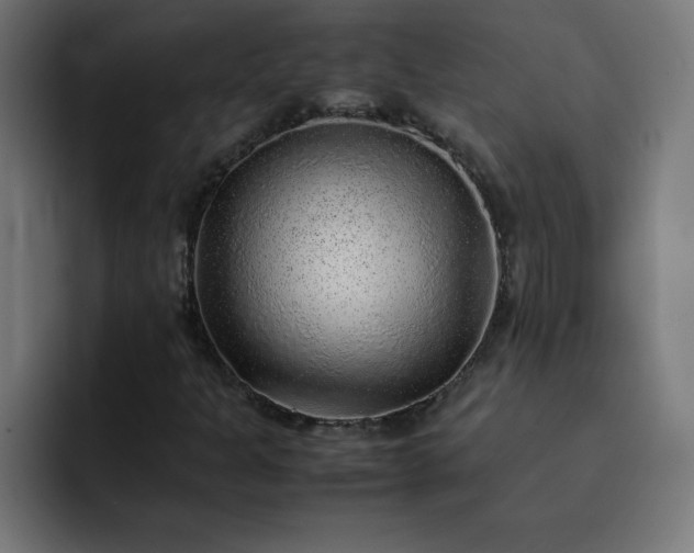 X0000093151301200710101128