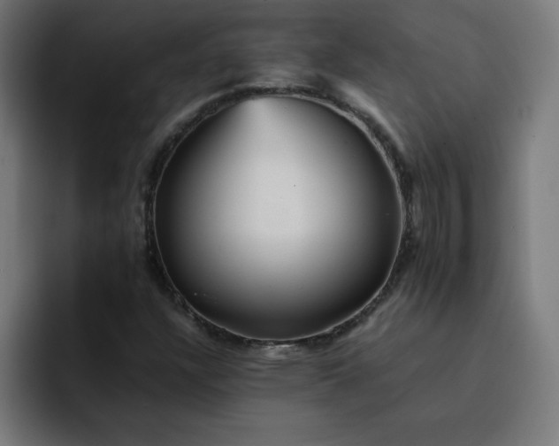 X0000093151304200710101128