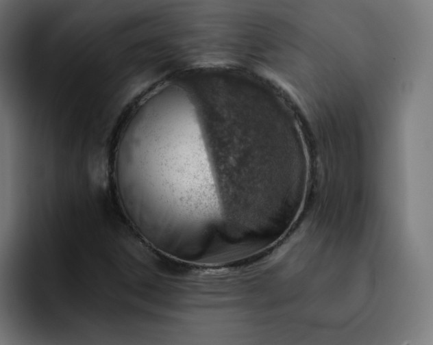 X0000093151306200710101128