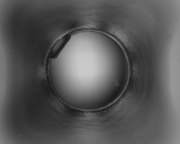 X0000093151308200710101128