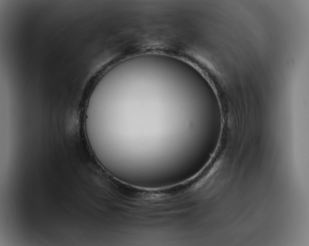 X0000093151309200710101128