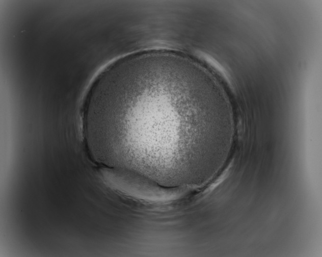 X0000093151310200710101128