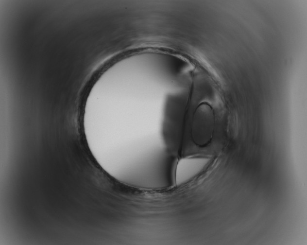 X0000093151312200710101128