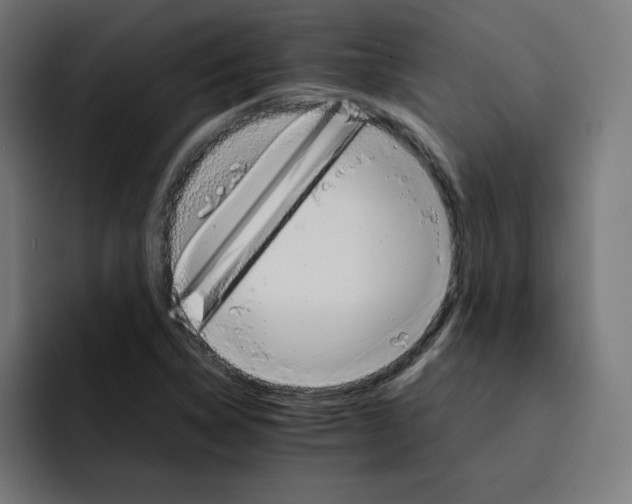 X0000093151314200710101128