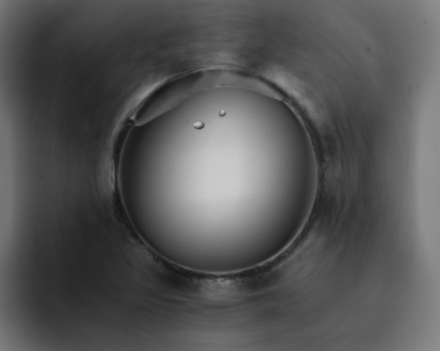 X0000093151317200710101128