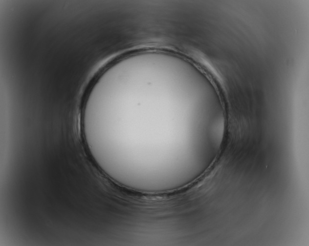 X0000093151320200710101128