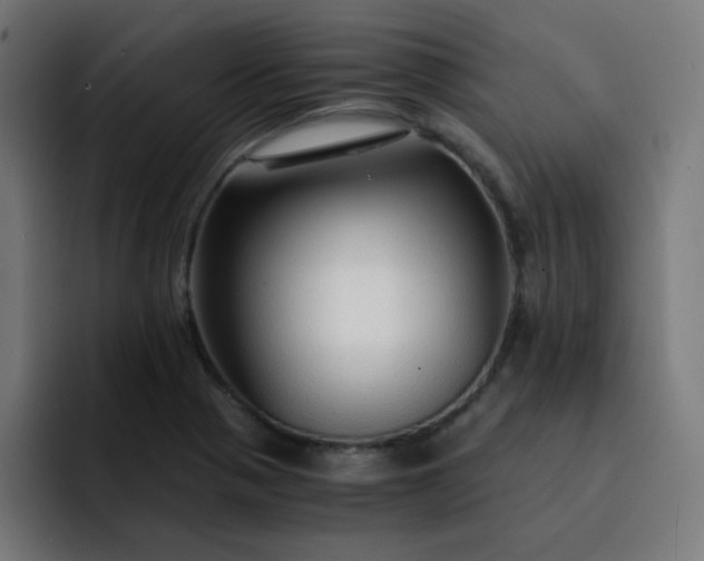 X0000093151321200710101128