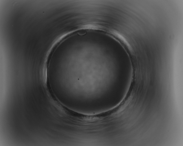 X0000093151323200710101128