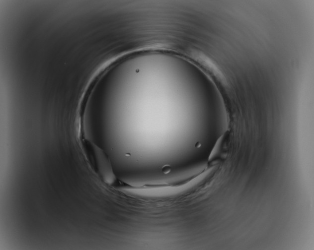 X0000093151324200710101128