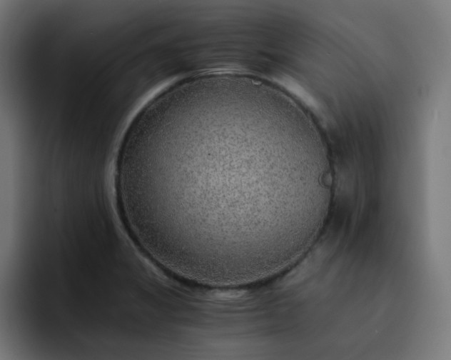 X0000093151325200710101128