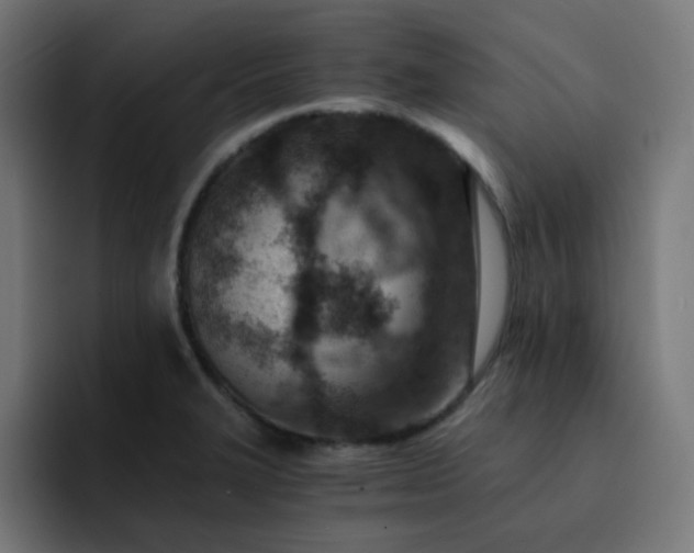 X0000093151327200710101128