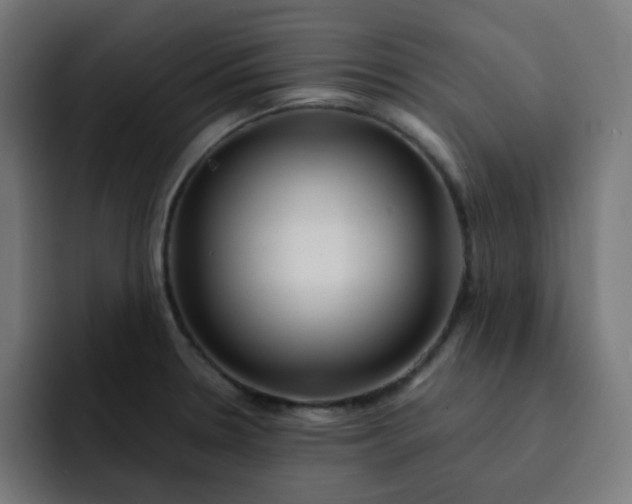 X0000093151330200710101128