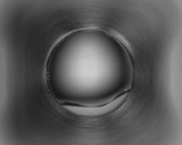 X0000093151332200710101128