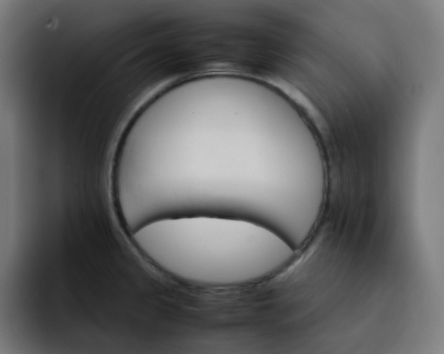 X0000093151333200710101128