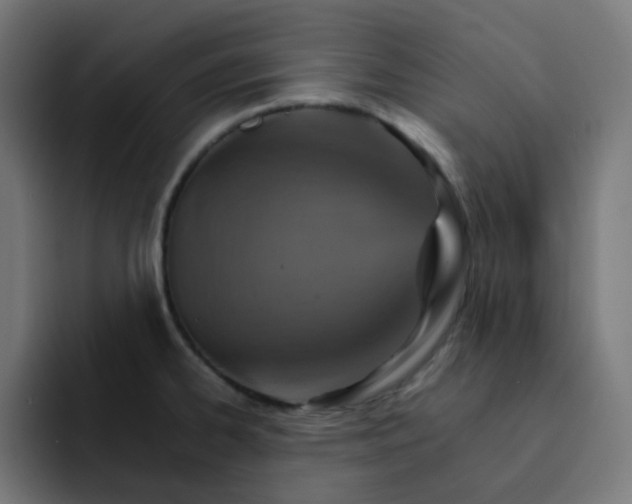 X0000093151334200710101128