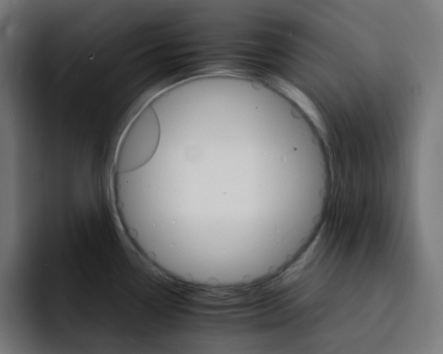 X0000093151338200710101128