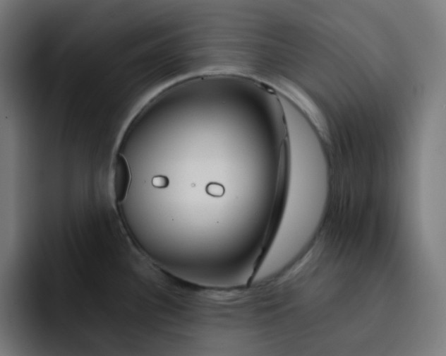 X0000093151340200710101128