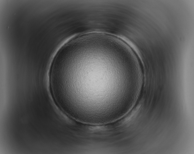 X0000093151341200710101128