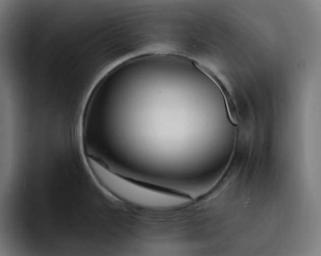 X0000093151343200710101128