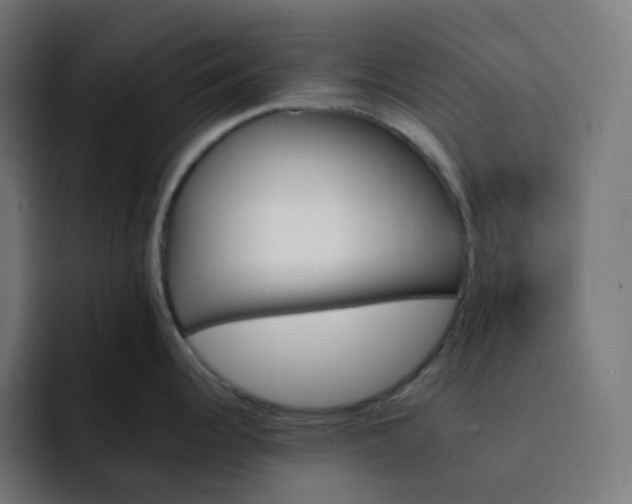 X0000093151344200710101128