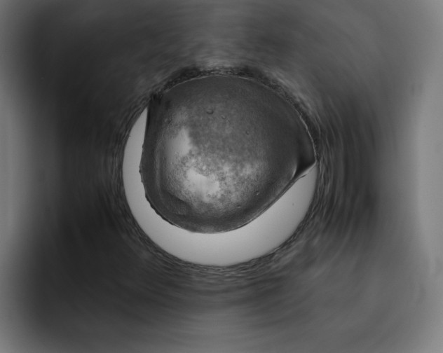 X0000093151348200710101128