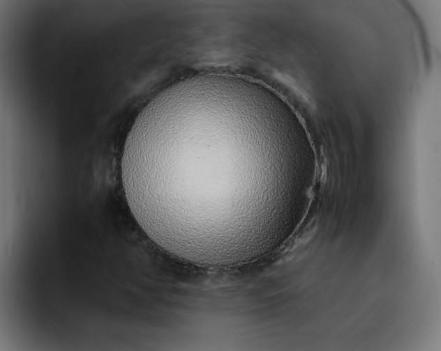 X0000093151350200710101128