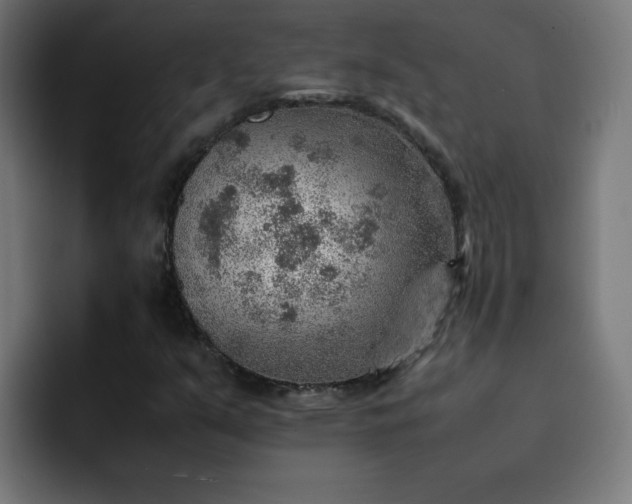 X0000093151351200710101128