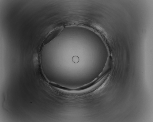 X0000093151353200710101128