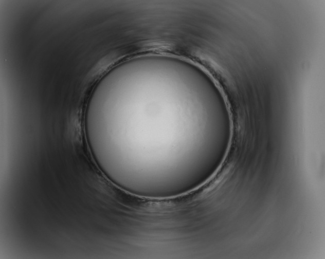 X0000093151354200710101128