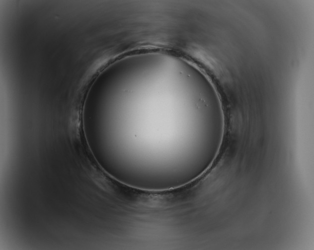 X0000093151355200710101128