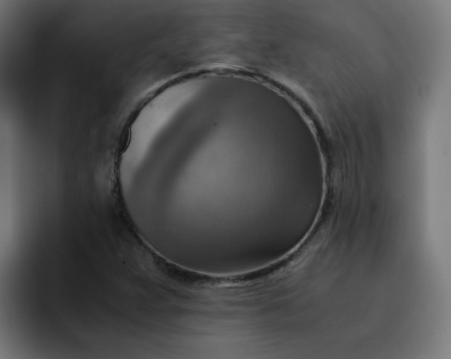 X0000093151359200710101128