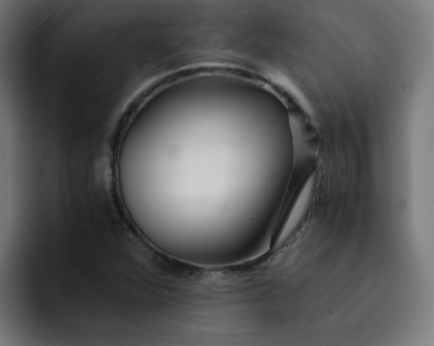 X0000093151360200710101128