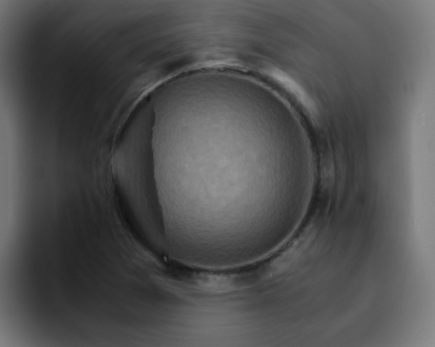 X0000093151361200710101128