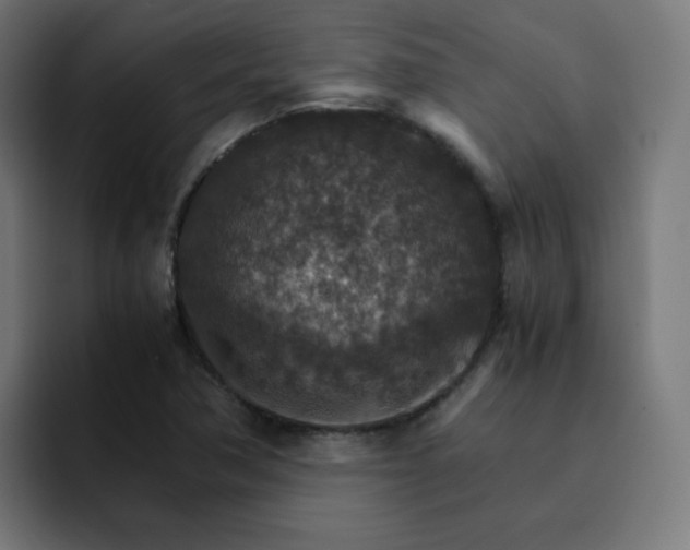 X0000093151362200710101128